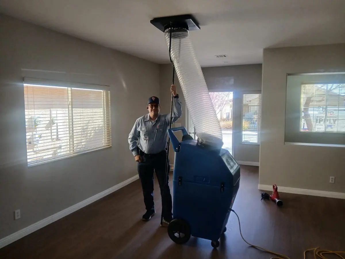 Professional Dryer Vent Cleaning work inside a Bothell East home